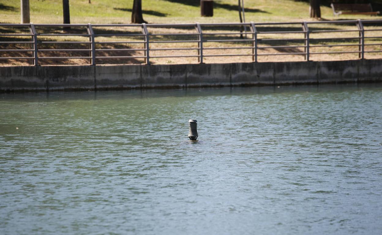Estanque del parque del Rodeo en Cáceres, cuyo géiser ha dado positivo por legionela. 
