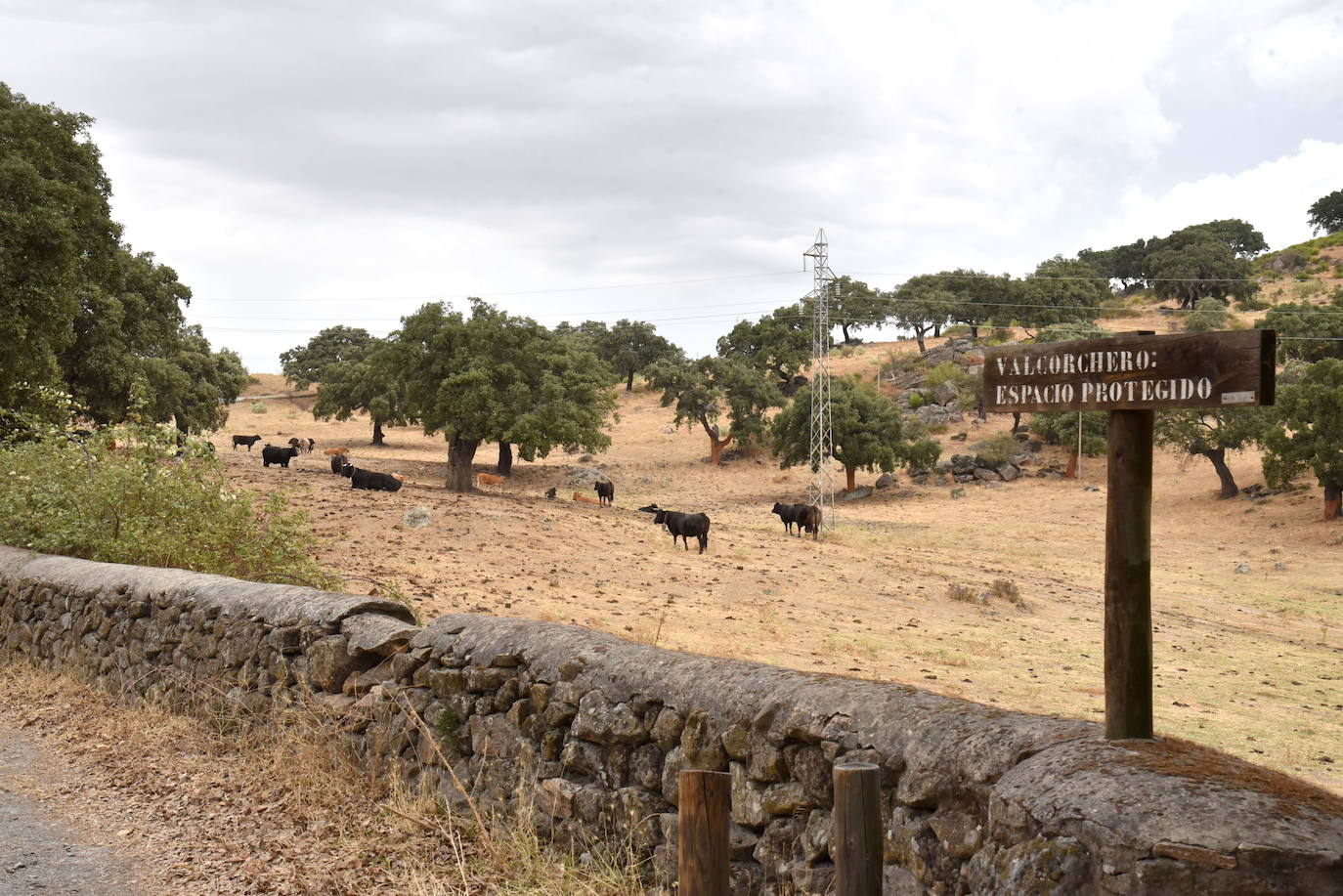 Plasencia. Una cueva, un mirador, un sendero quemagrasas, unas esculturas labradas en la roca, una ermita con tres caminos... Valcorchero es ideal para caminar y pedalear. 