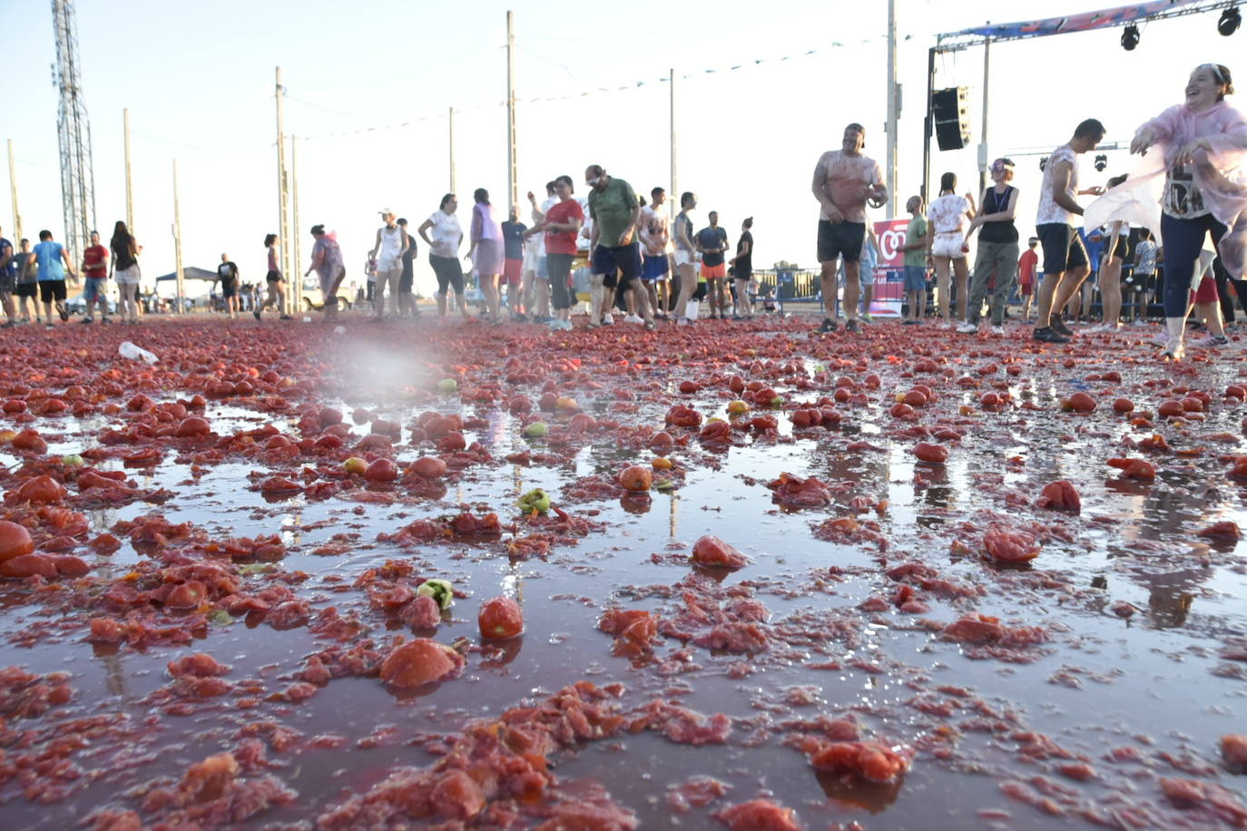 Fotos: Las mejores imágenes de la I Tomatá de Talavera la Real