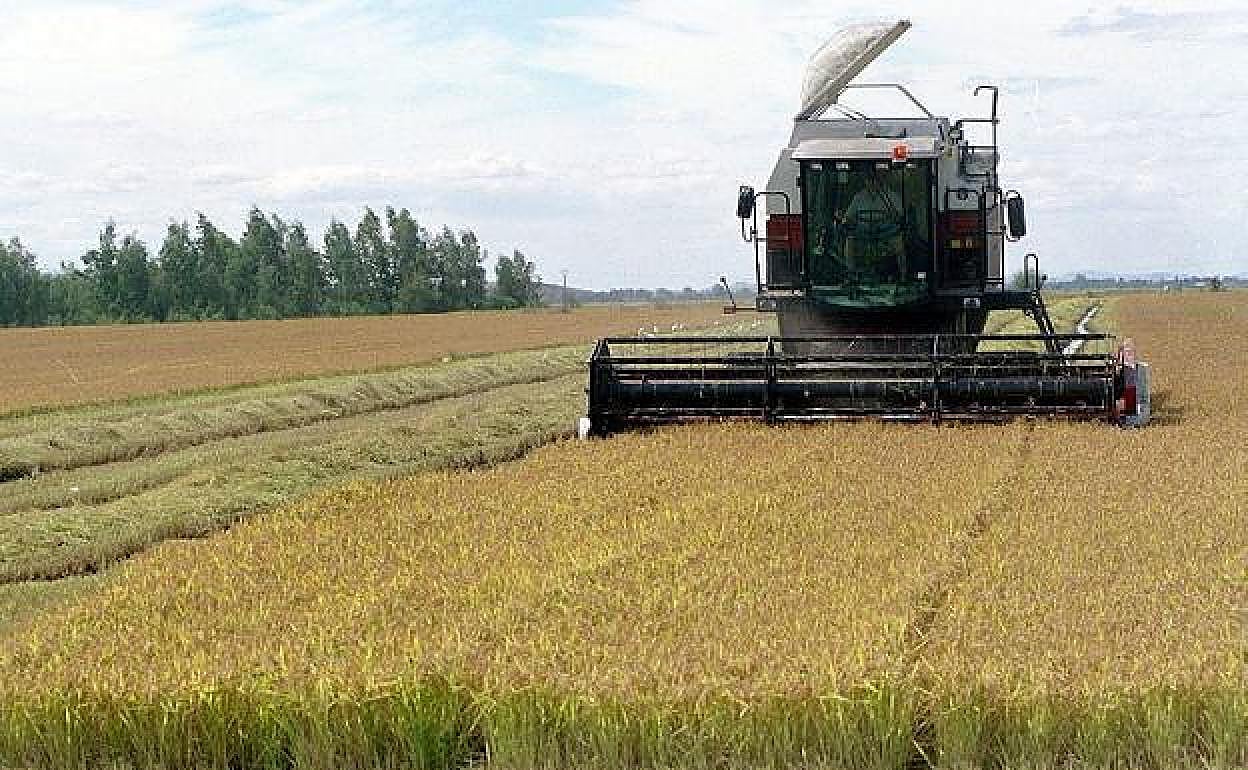 La amenaza de una sequía sostenible