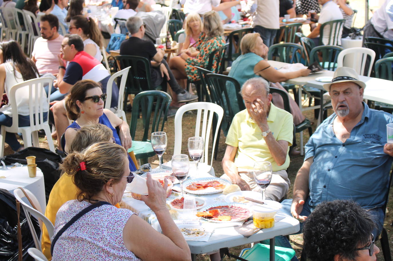 Fotos: XXXI Día del Jamón de Monesterio, en imágenes