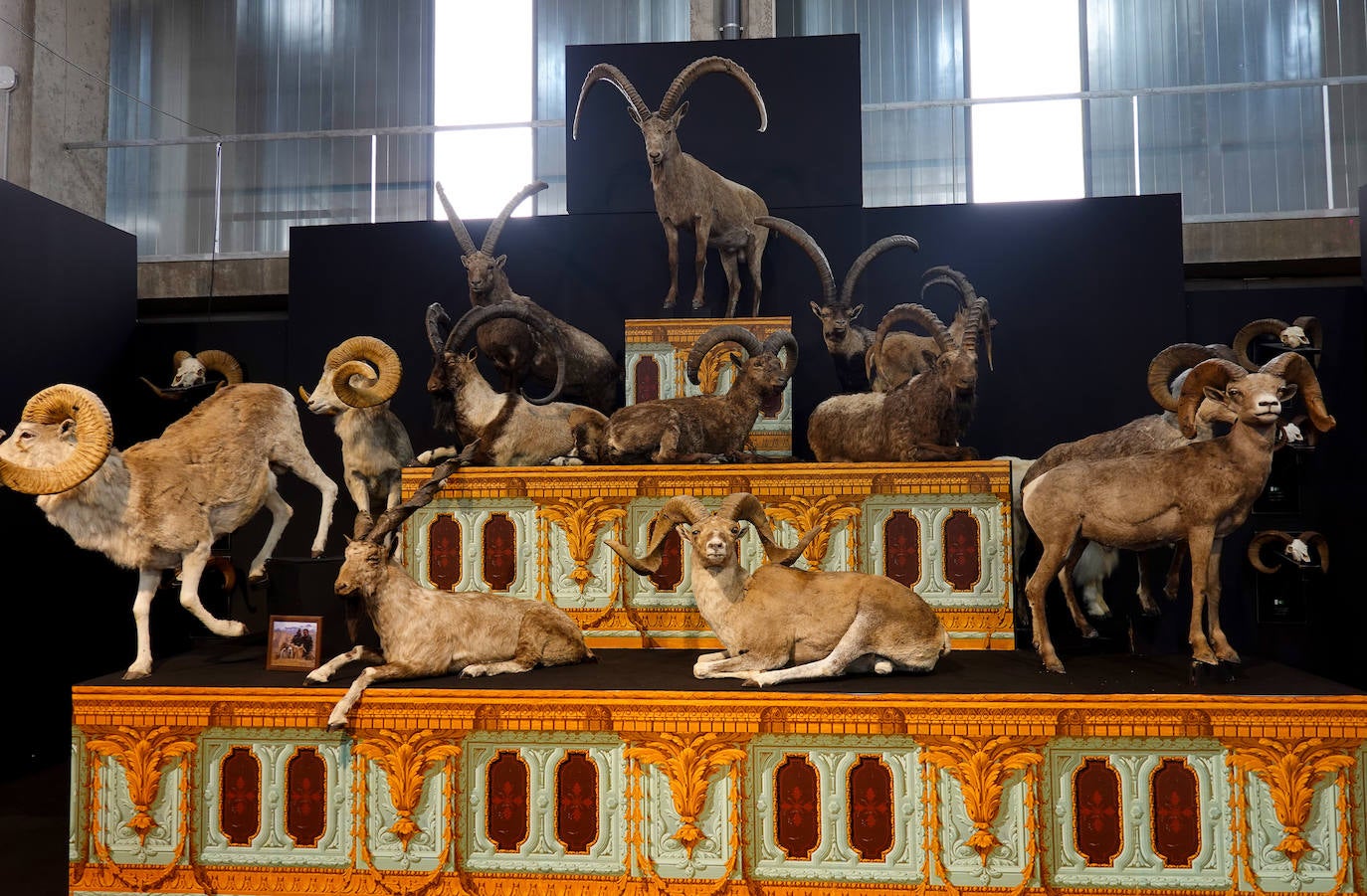 Fotos: La Feria de la Caza, Pesca y Naturaleza Ibérica abre sus puertas en Badajoz