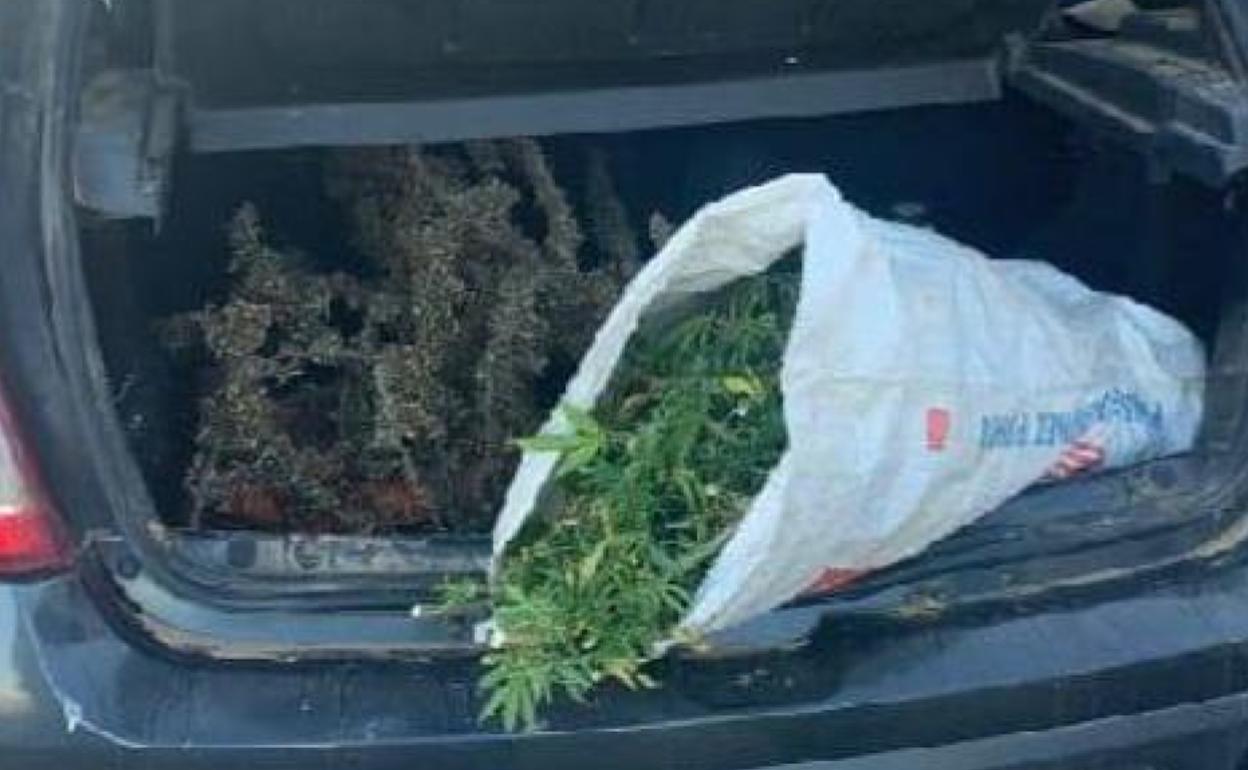 Foto de archivo de marihuana intervenida en el maletero de un coche. 