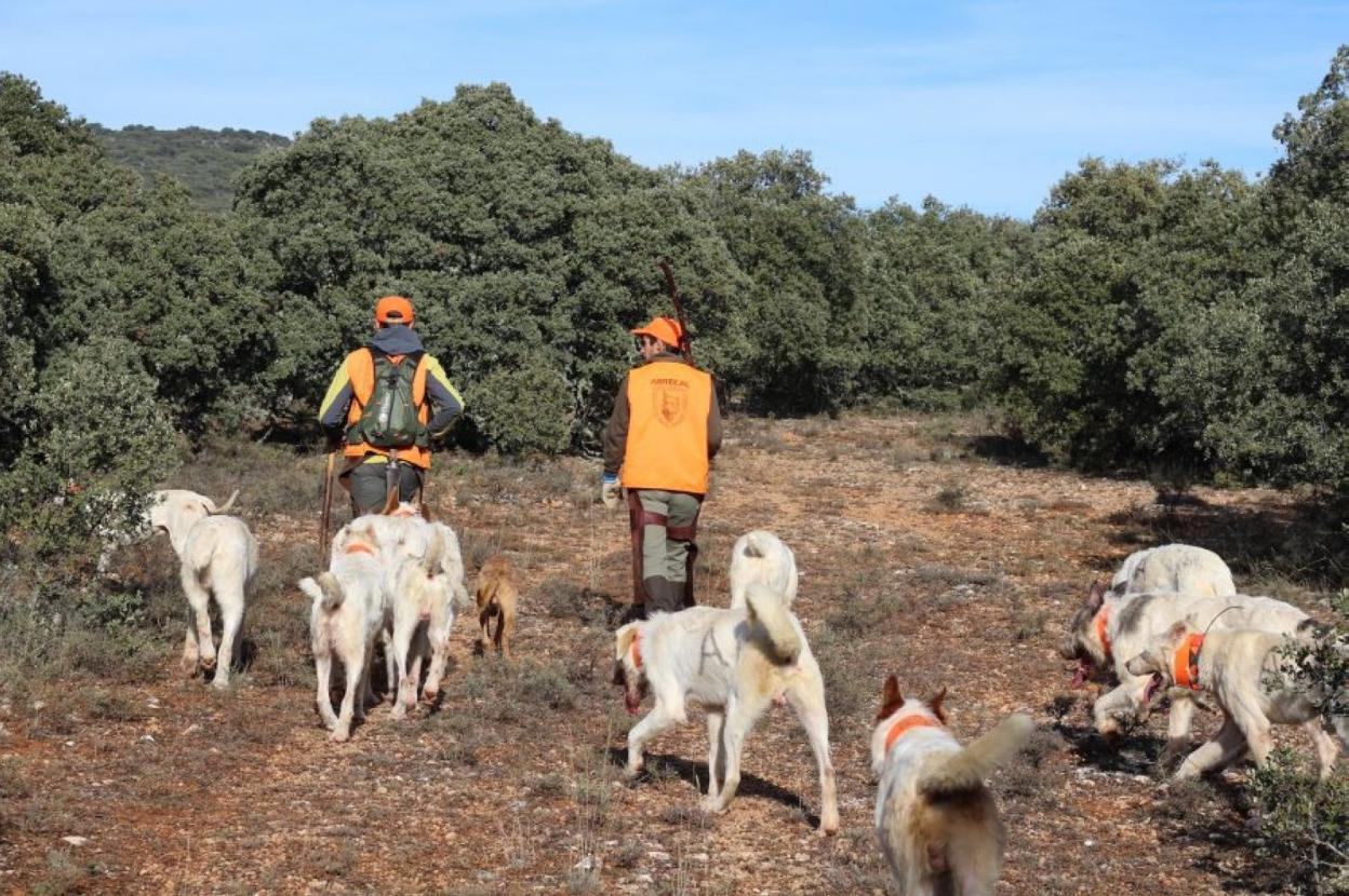 Esta ley sectaria está plagada de irregularidades. 
