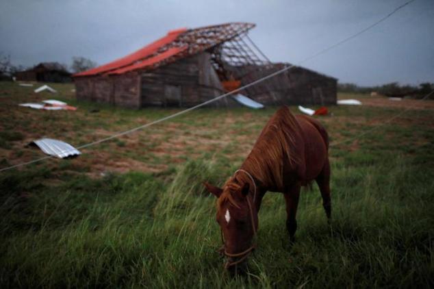 Un caballo delante de una casa destruida por las fuertes rachas de viento en Puerta de Golpe.