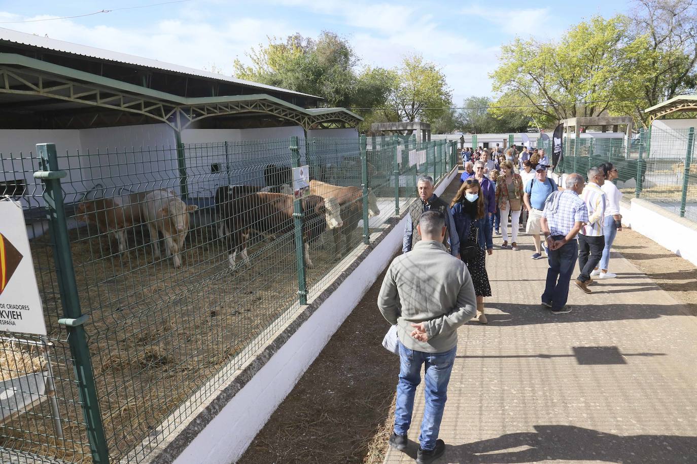 Inauguración Feria Ganadera de Zafra