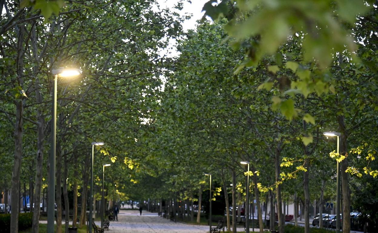 Farolas con ledes en el Paseo Condes de Barcelona. 