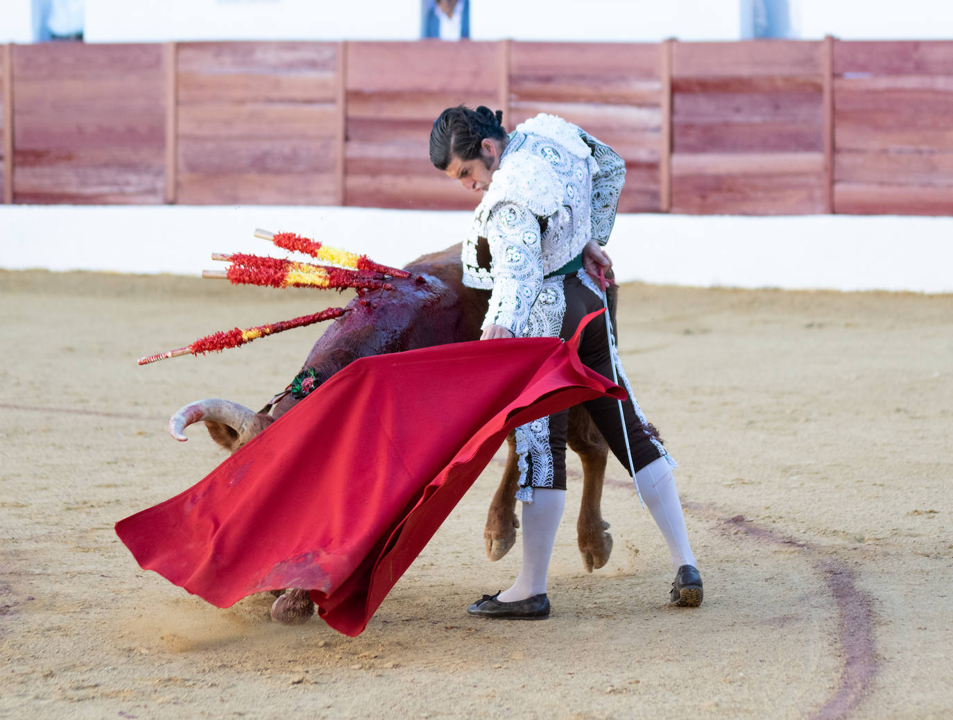 Tarde triunfal, la primera de las dos que componen la Feria taurina de Zafra, donde el público se divirtió con la actuación de los tres toreros y el buen juego en líneas generales de la corrida de Álvaro Núñez. 