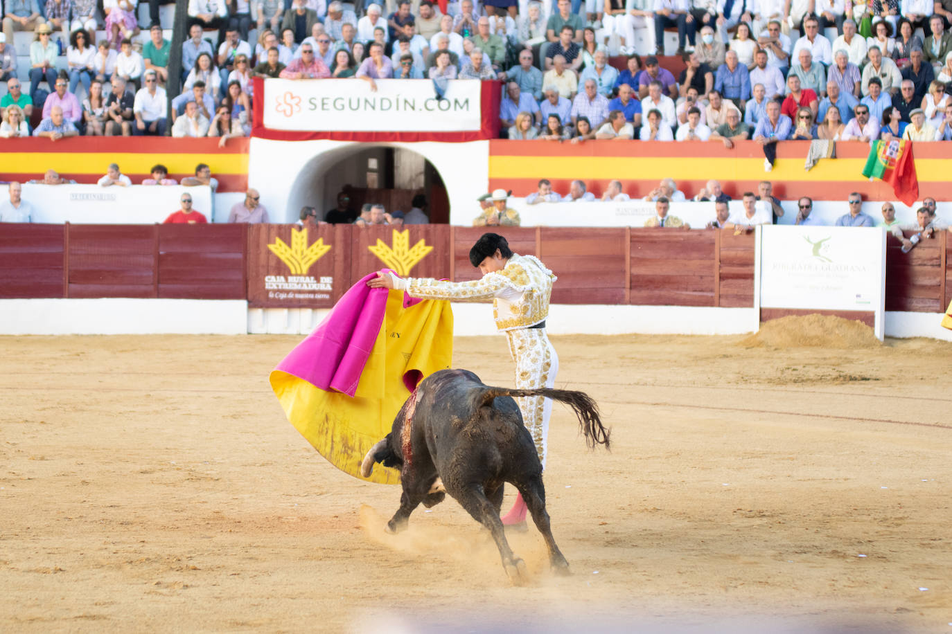 Tarde triunfal, la primera de las dos que componen la Feria taurina de Zafra, donde el público se divirtió con la actuación de los tres toreros y el buen juego en líneas generales de la corrida de Álvaro Núñez. 