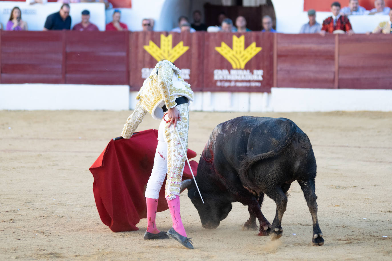 Tarde triunfal, la primera de las dos que componen la Feria taurina de Zafra, donde el público se divirtió con la actuación de los tres toreros y el buen juego en líneas generales de la corrida de Álvaro Núñez. 