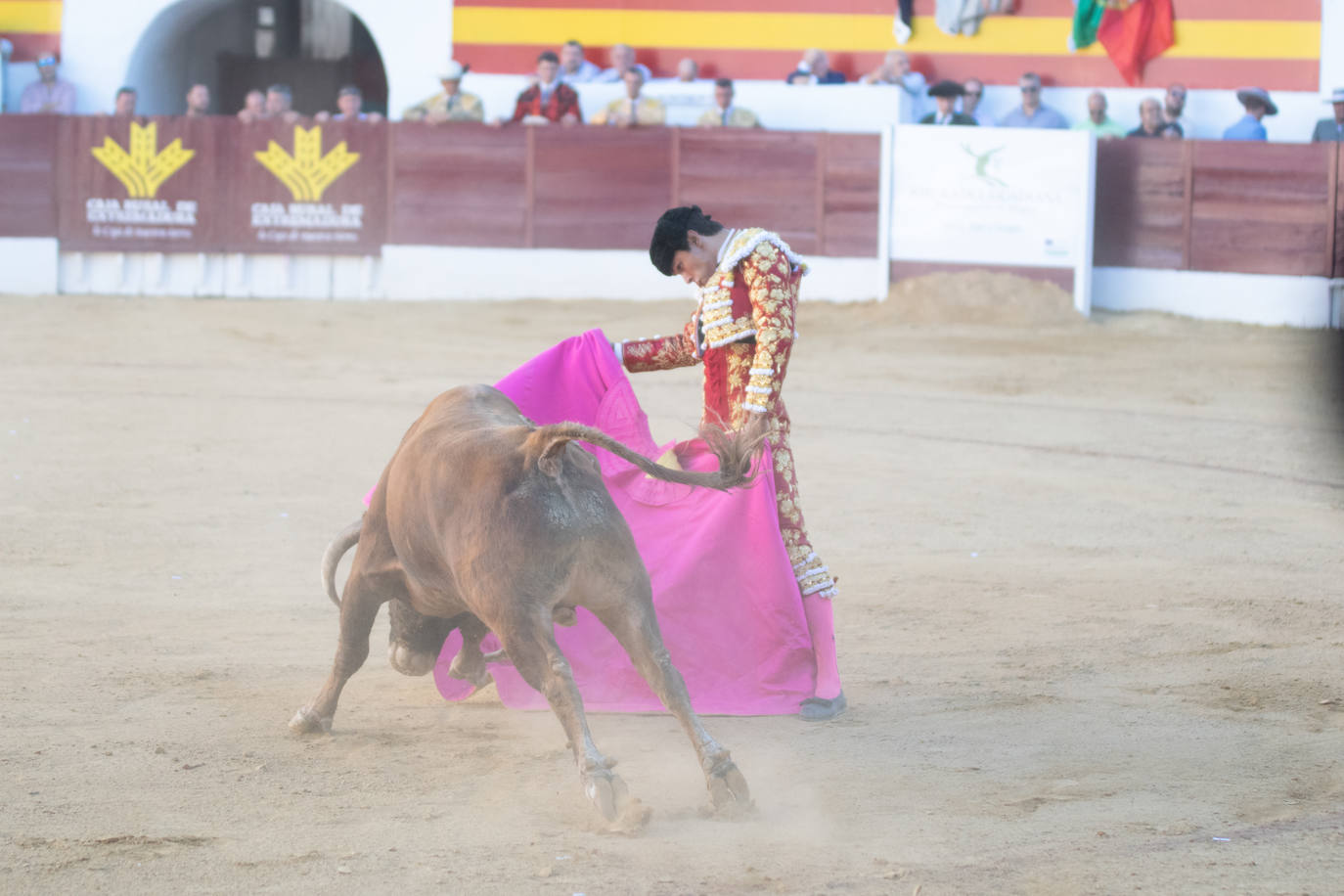 Tarde triunfal, la primera de las dos que componen la Feria taurina de Zafra, donde el público se divirtió con la actuación de los tres toreros y el buen juego en líneas generales de la corrida de Álvaro Núñez. 