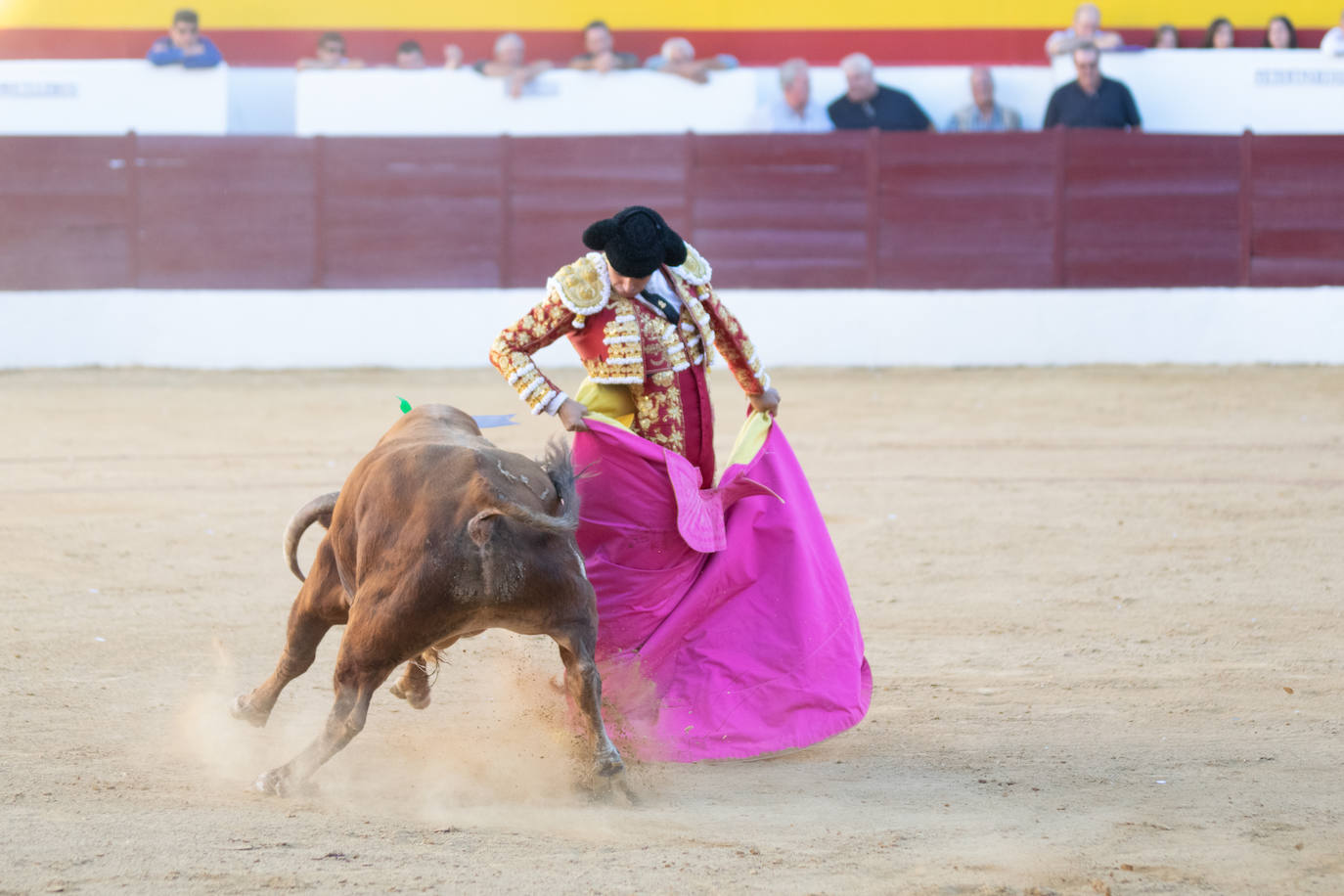 Tarde triunfal, la primera de las dos que componen la Feria taurina de Zafra, donde el público se divirtió con la actuación de los tres toreros y el buen juego en líneas generales de la corrida de Álvaro Núñez. 