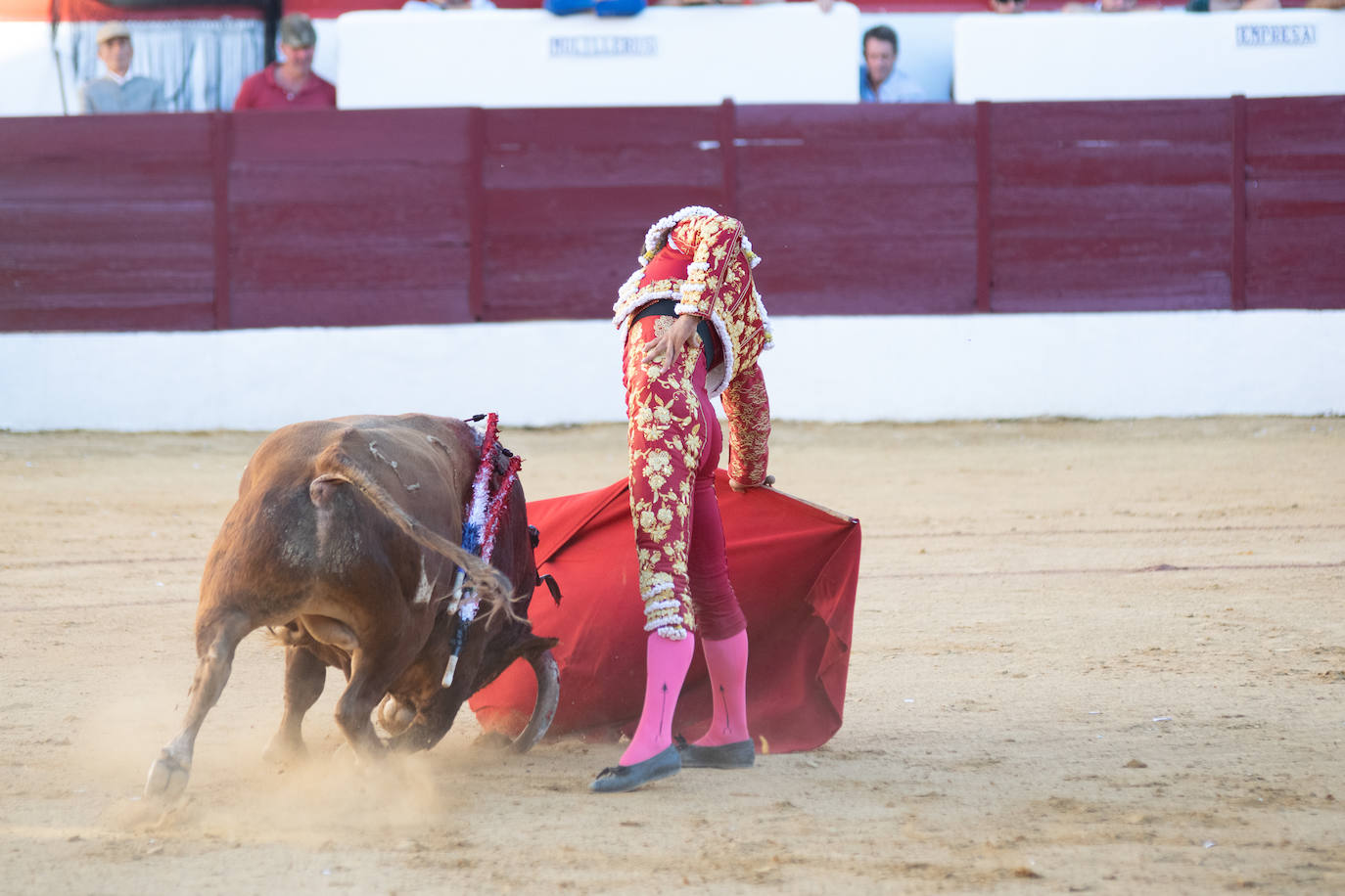 Tarde triunfal, la primera de las dos que componen la Feria taurina de Zafra, donde el público se divirtió con la actuación de los tres toreros y el buen juego en líneas generales de la corrida de Álvaro Núñez. 