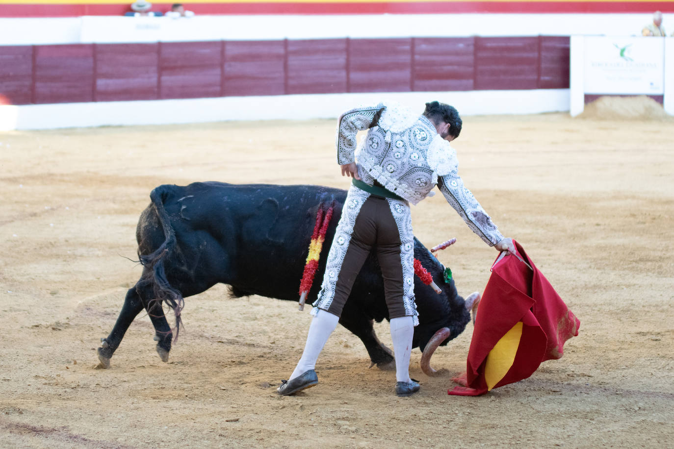 Tarde triunfal, la primera de las dos que componen la Feria taurina de Zafra, donde el público se divirtió con la actuación de los tres toreros y el buen juego en líneas generales de la corrida de Álvaro Núñez. 