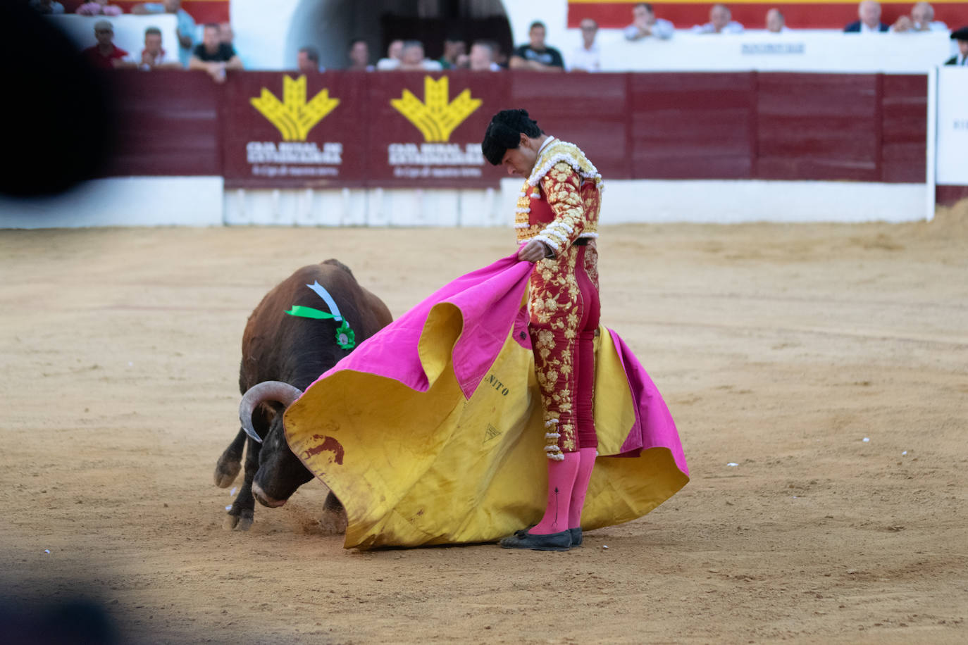 Tarde triunfal, la primera de las dos que componen la Feria taurina de Zafra, donde el público se divirtió con la actuación de los tres toreros y el buen juego en líneas generales de la corrida de Álvaro Núñez. 