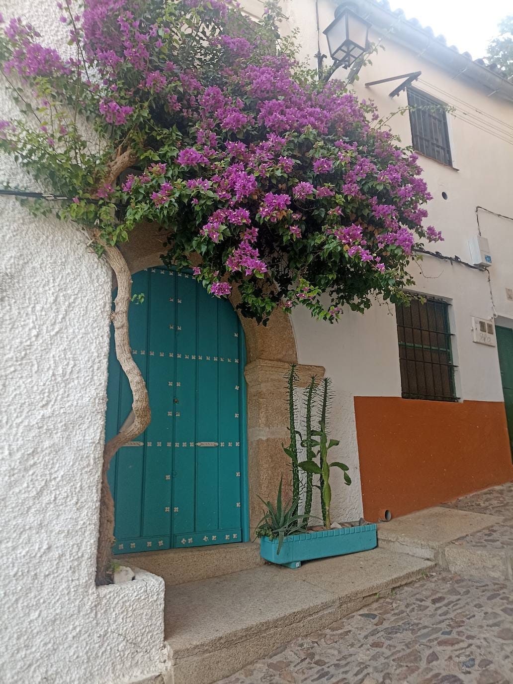 Es el famoso callejón de la buganvilla con la puerta azul.