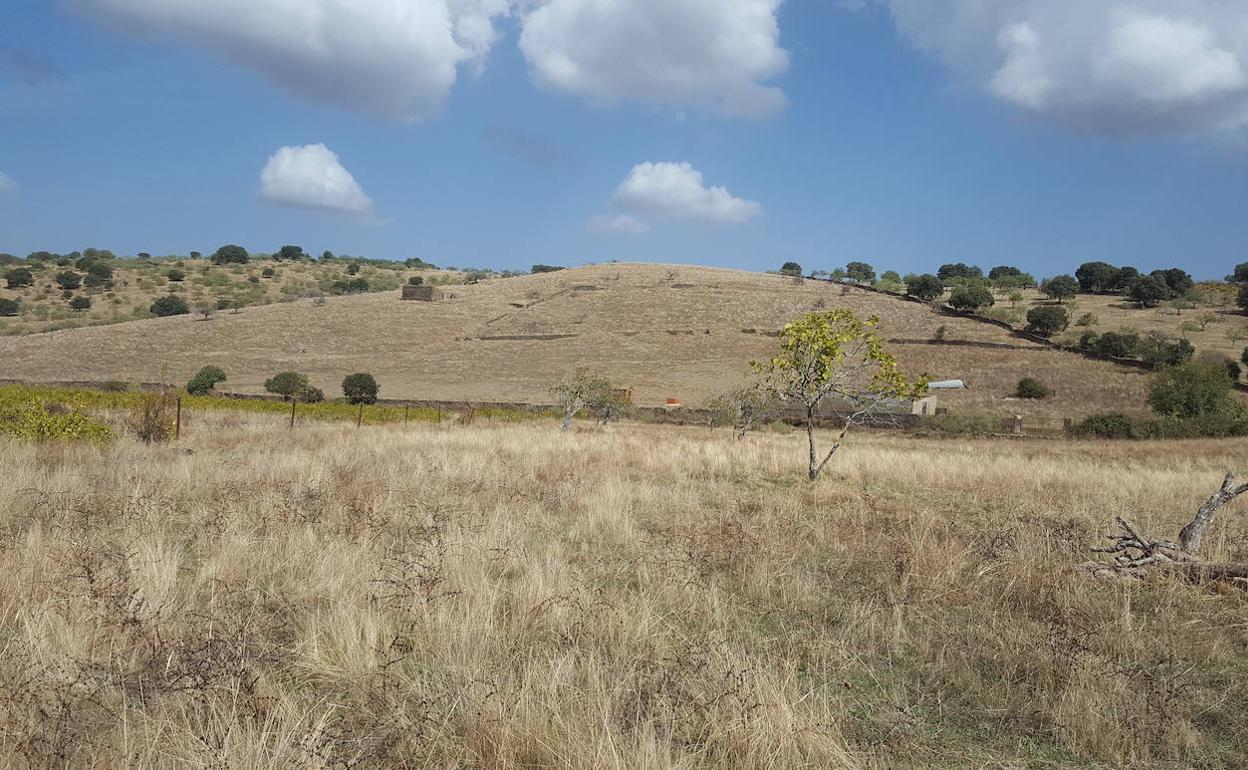 Parte del terreno en Salvatierra, desde la carretera de Burguillos, que ocuparía la planta de residuos planteada. 