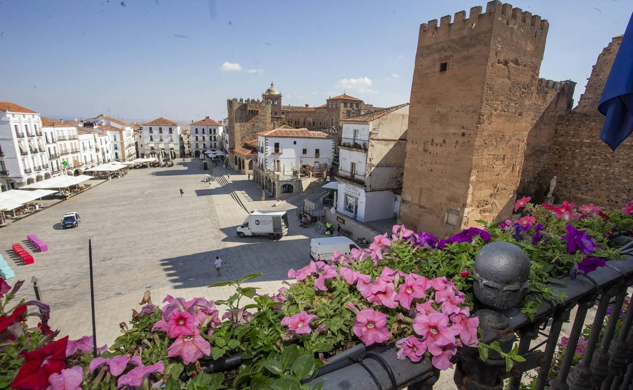Petunias y aptenias se asoman al balcón del Ayuntamiento, el primero de la Plaza decorado con flores. 
