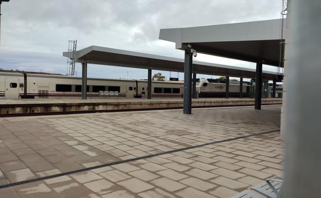 Los pasajeros del Alvia estuvieron dentro del tren en Cáceres casi media hora hasta que partió. 