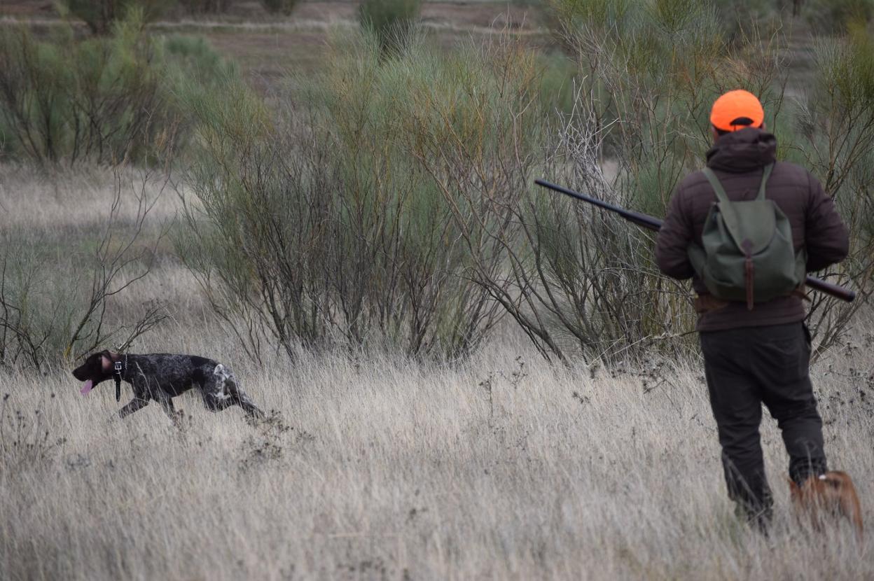 Hunting - Caza y cinegética