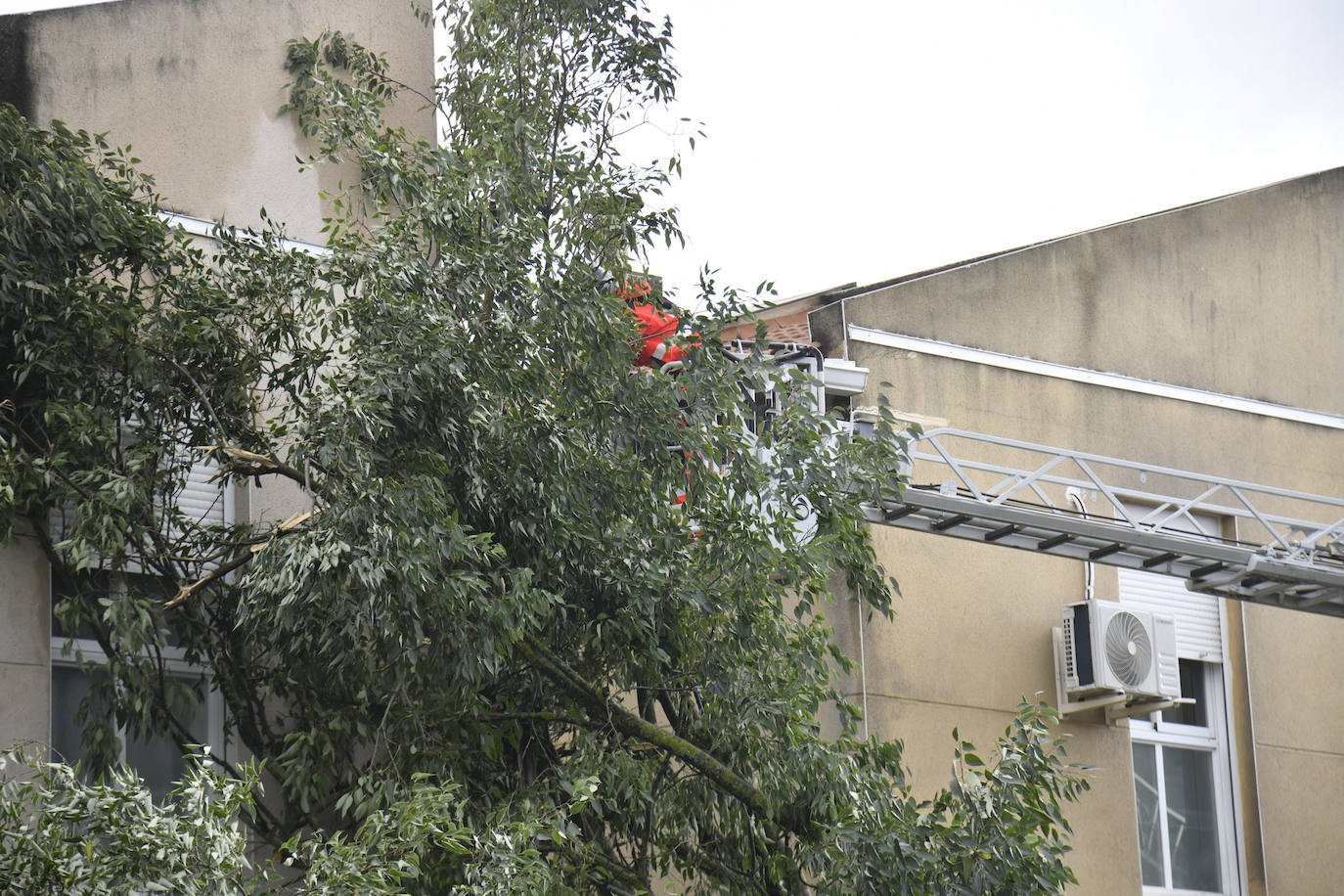 Fotos: La borrasca Béatrice causa desperfectos en Badajoz