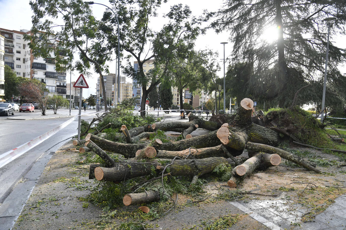 Fotos: La borrasca Béatrice causa desperfectos en Badajoz