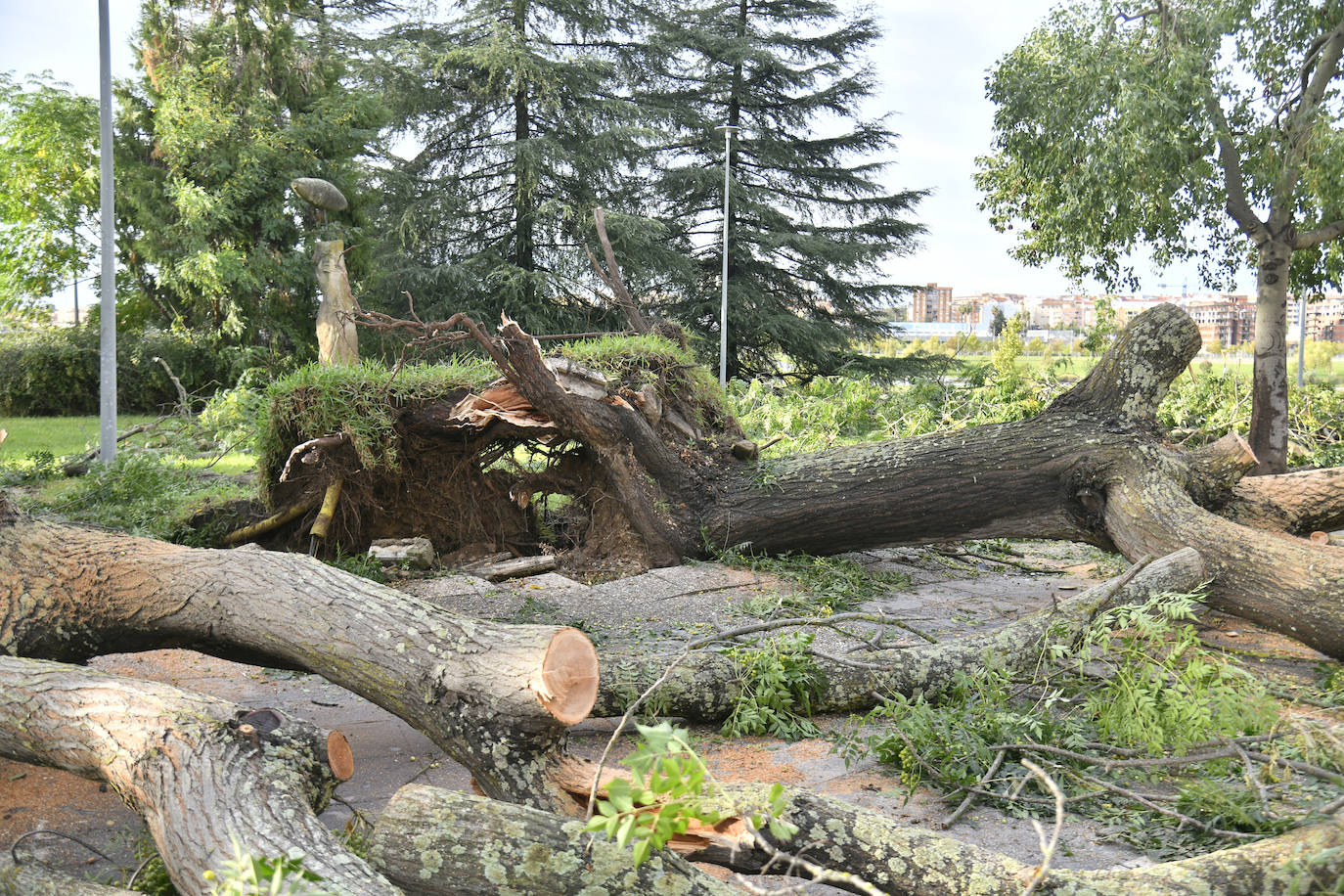 Fotos: La borrasca Béatrice causa desperfectos en Badajoz