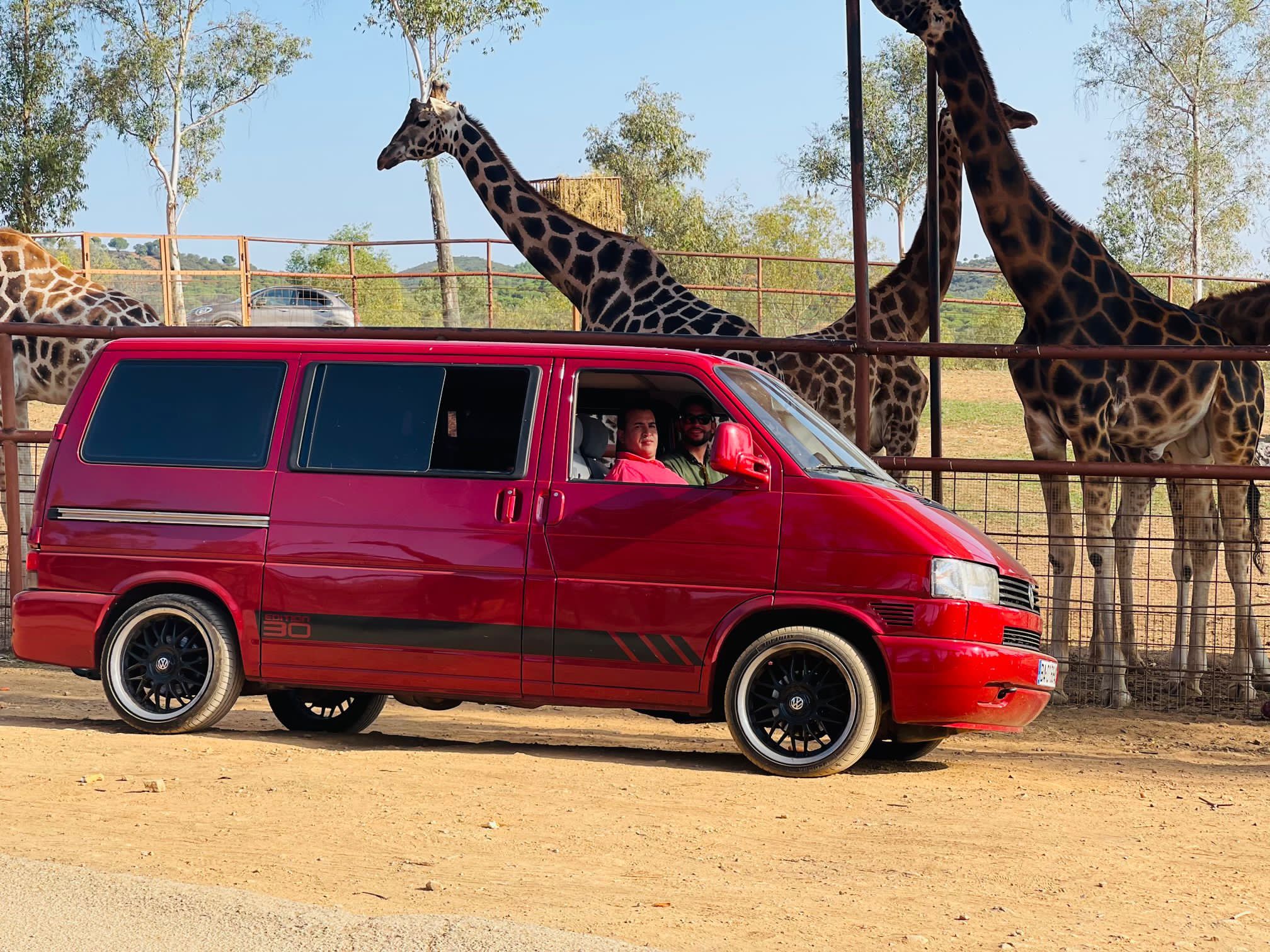 Extremeños recorriendo la reserva de animales de Castillo de la Guarda (Sevilla) con su furgoneta camperizada. 