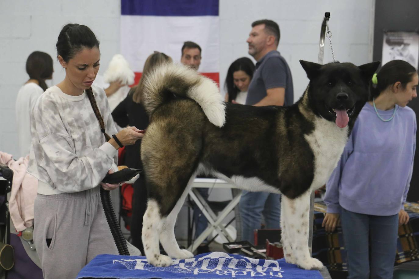 Fotos: Mérida acoge una exposición nacional canina
