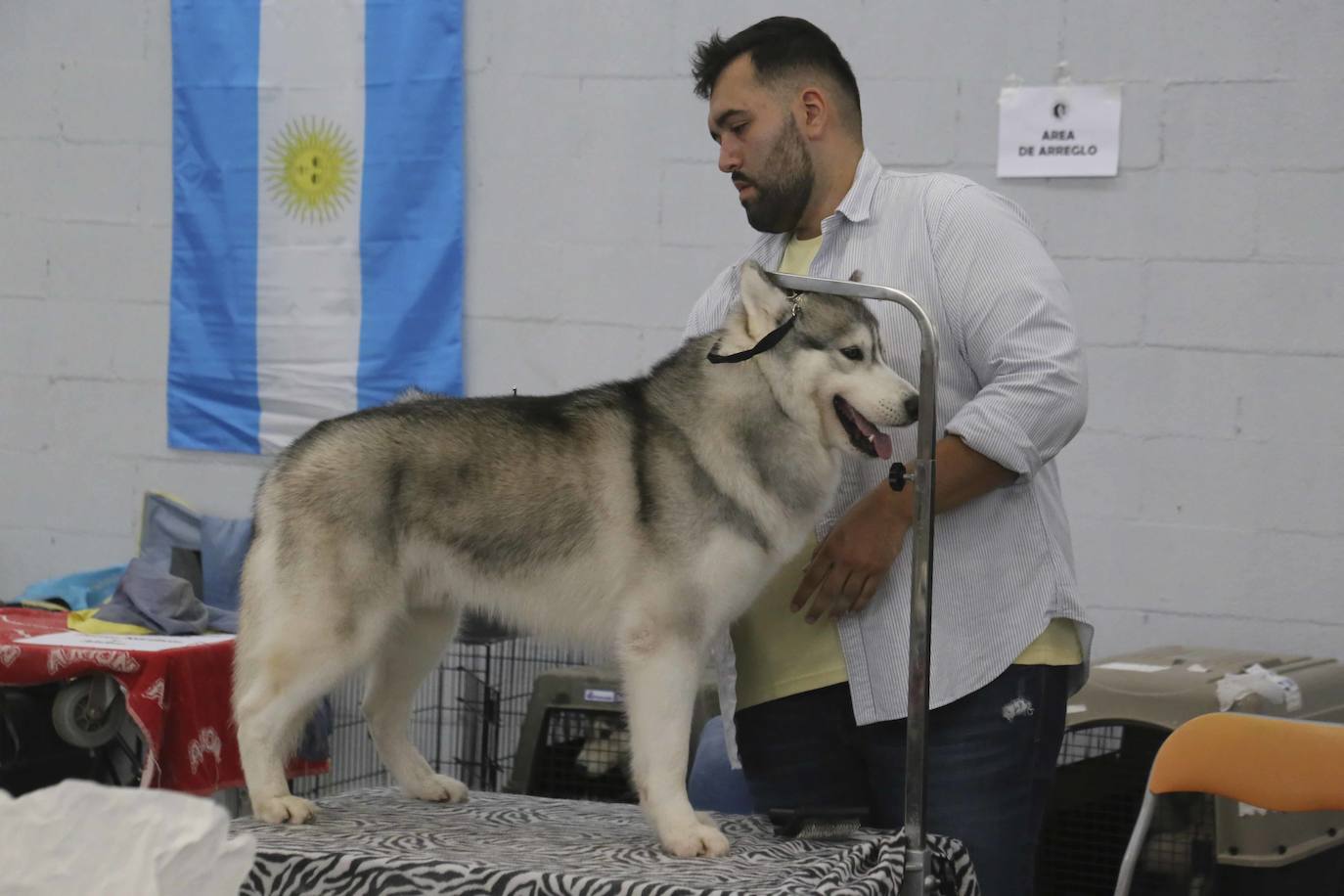 Fotos: Mérida acoge una exposición nacional canina