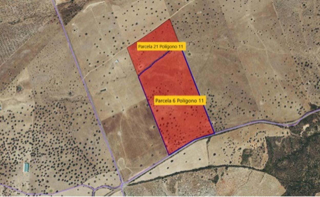 Parcelas de Logrosán en las que se implantará la planta de biomasa y los acopios. Se sitúa a 10,6 kilómetros del casco urbano, colindante con la EX-116 y a 500 metros de la CC-22.6. 