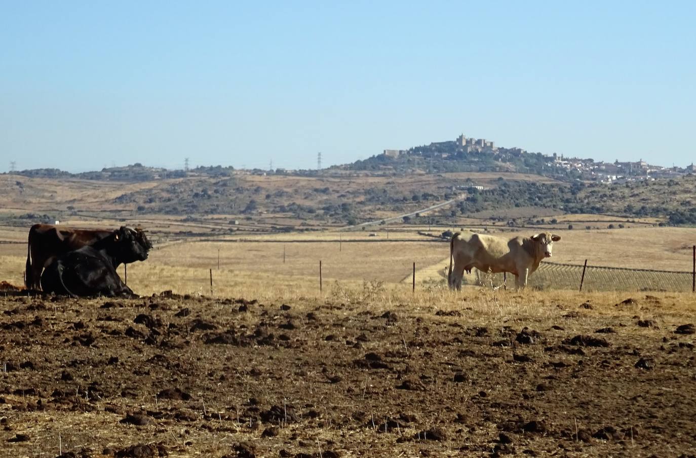 Camino entre La Cumbre y Trujillo, cerca de la zona en la que ocurrió el suceso.