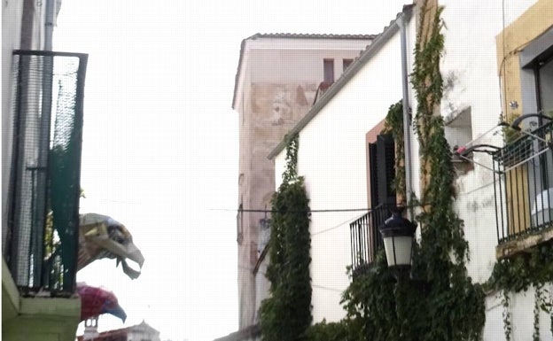 Torre del Aire en la calle Hornillo, en donde hay pájaros hechos con latas de bebidas por Dando La Lata. 