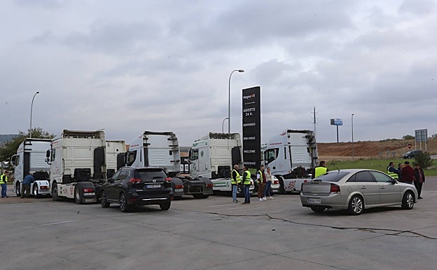 Algunos de los camiones parados esta mañana en el polígono industrial El Prado de Mérida. 