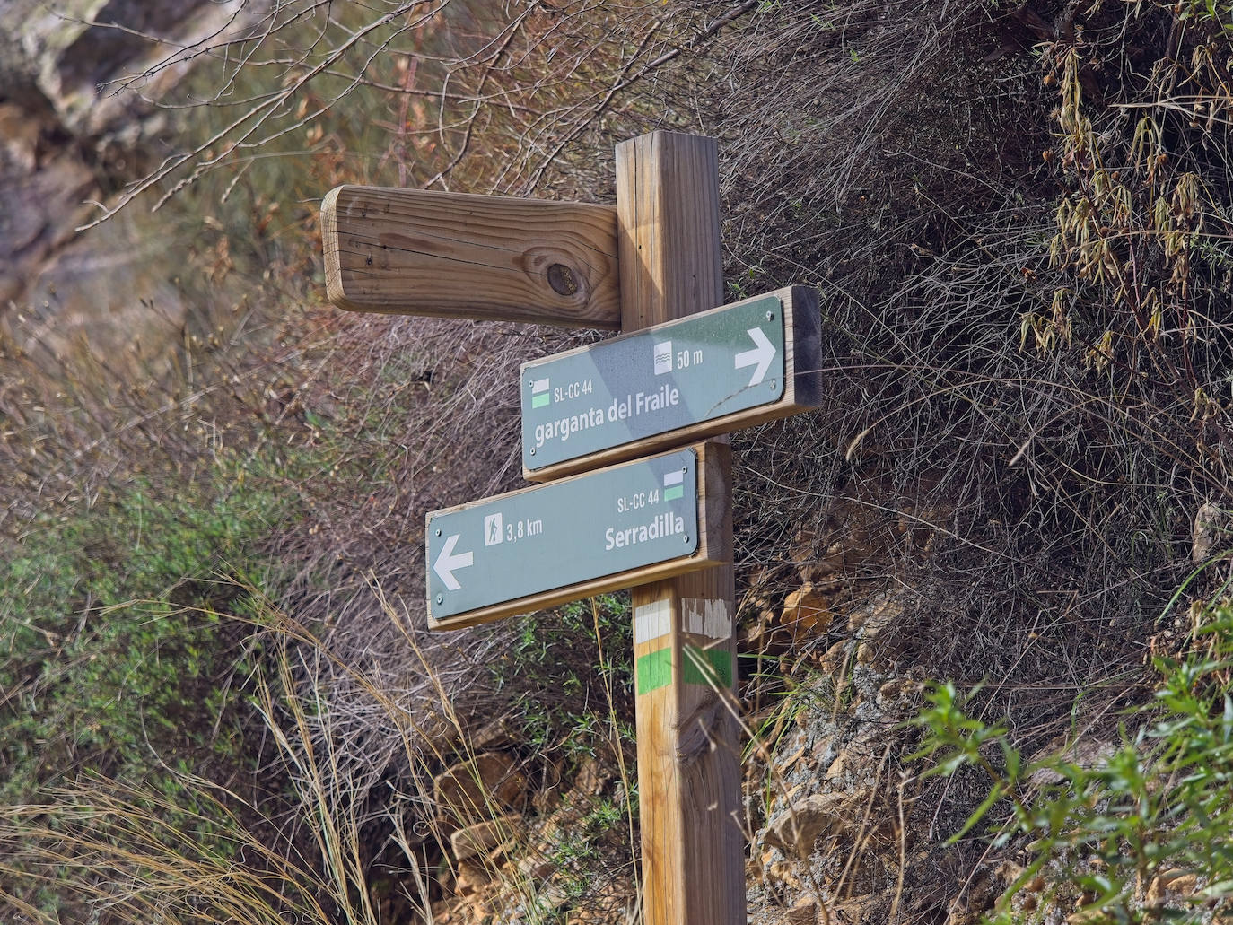 Fotos: Entrega del premio al Mejor Sendero Homologado de España