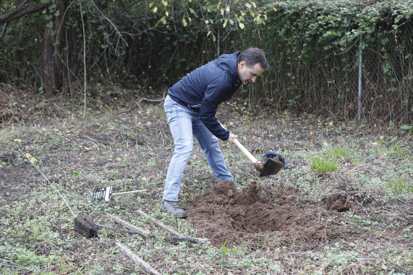 Fotos: Plantación de 38 olmos resistente a la grafiosis en la &#039;Ribera de la comunicación&#039;