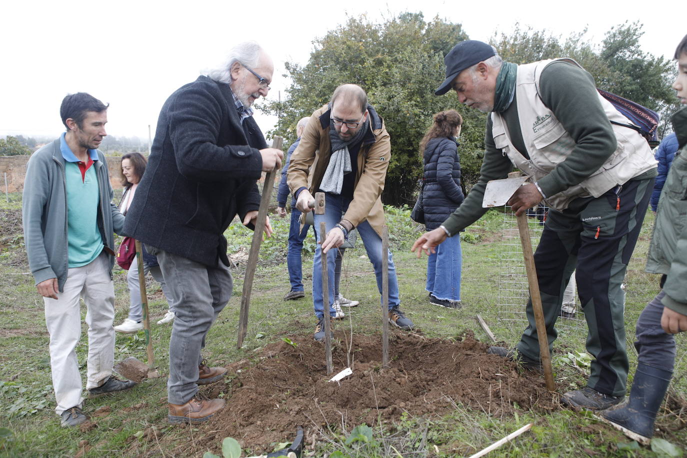 Fotos: Plantación de 38 olmos resistente a la grafiosis en la &#039;Ribera de la comunicación&#039;