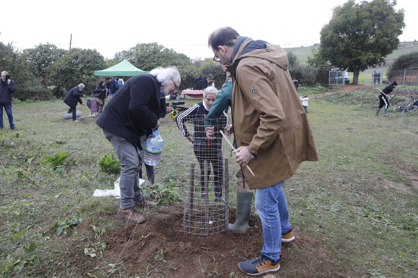 Fotos: Plantación de 38 olmos resistente a la grafiosis en la &#039;Ribera de la comunicación&#039;