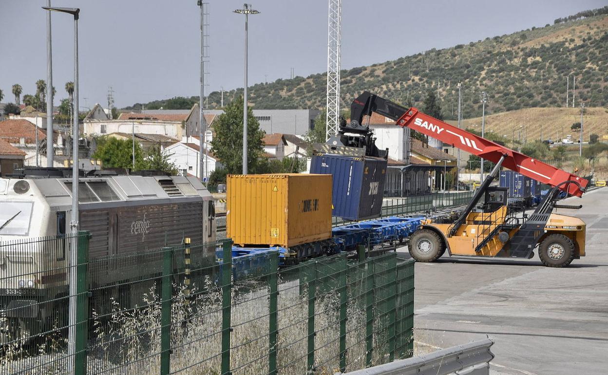 Tren de mercancías en la plataforma de contenedores de Elvas. 