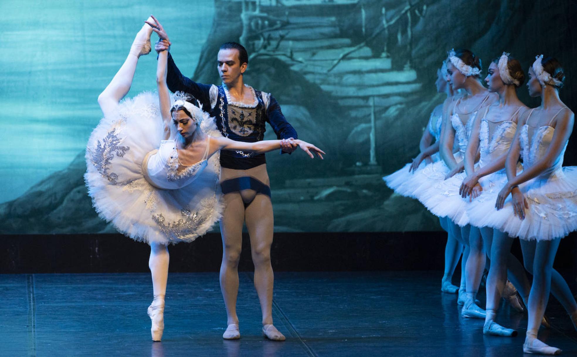 Los cisnes de Ucrania bailan por su país