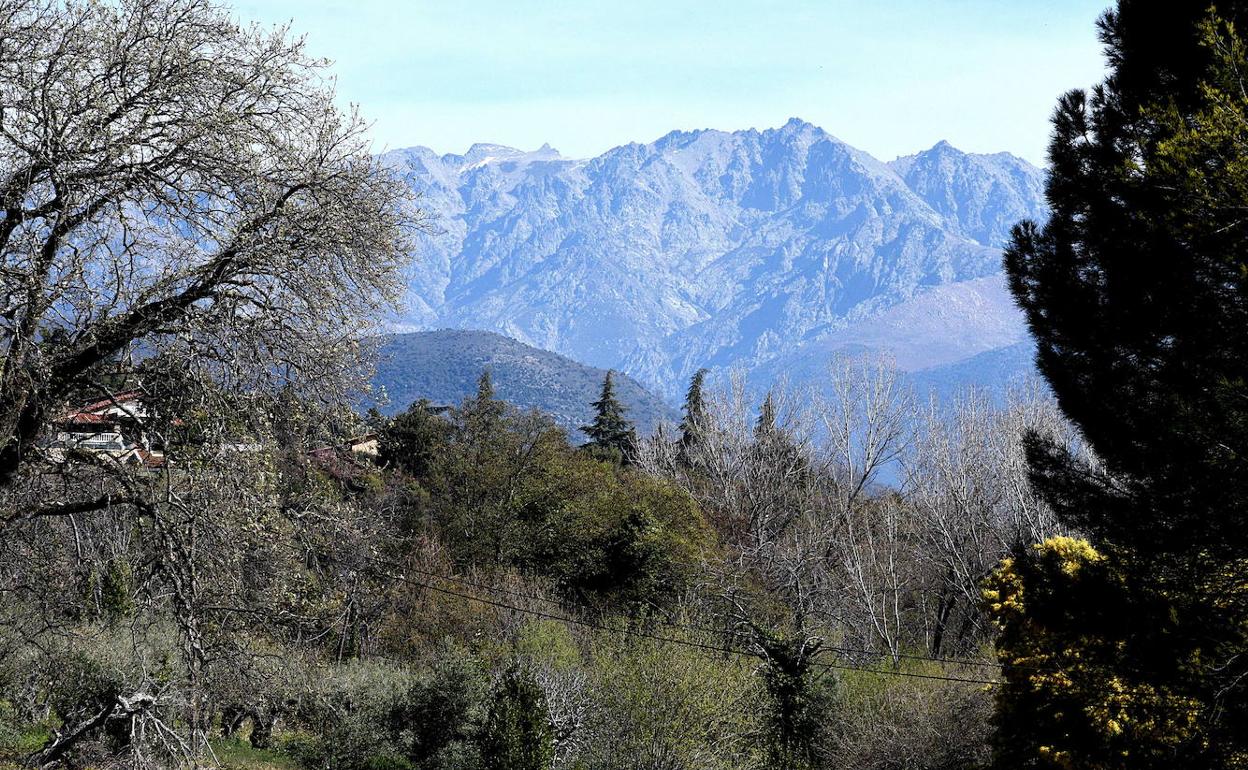 Sierra de Gredos desde Villanueva de La Vera, término municipal donde está constatada la presencia del lobo. 