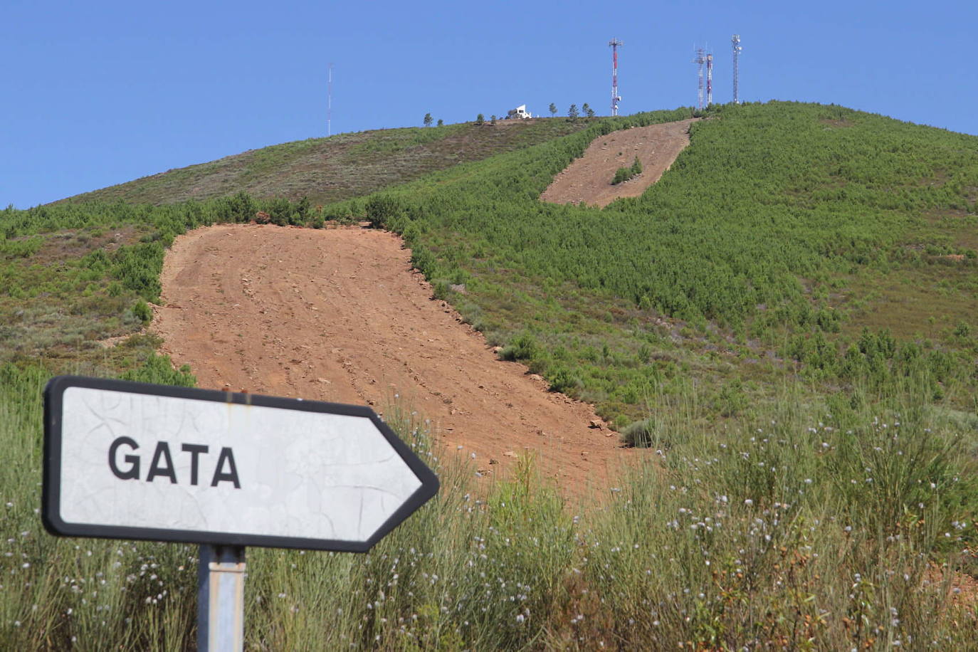 Después de matar a su abuelo, el joven huyó al monte.