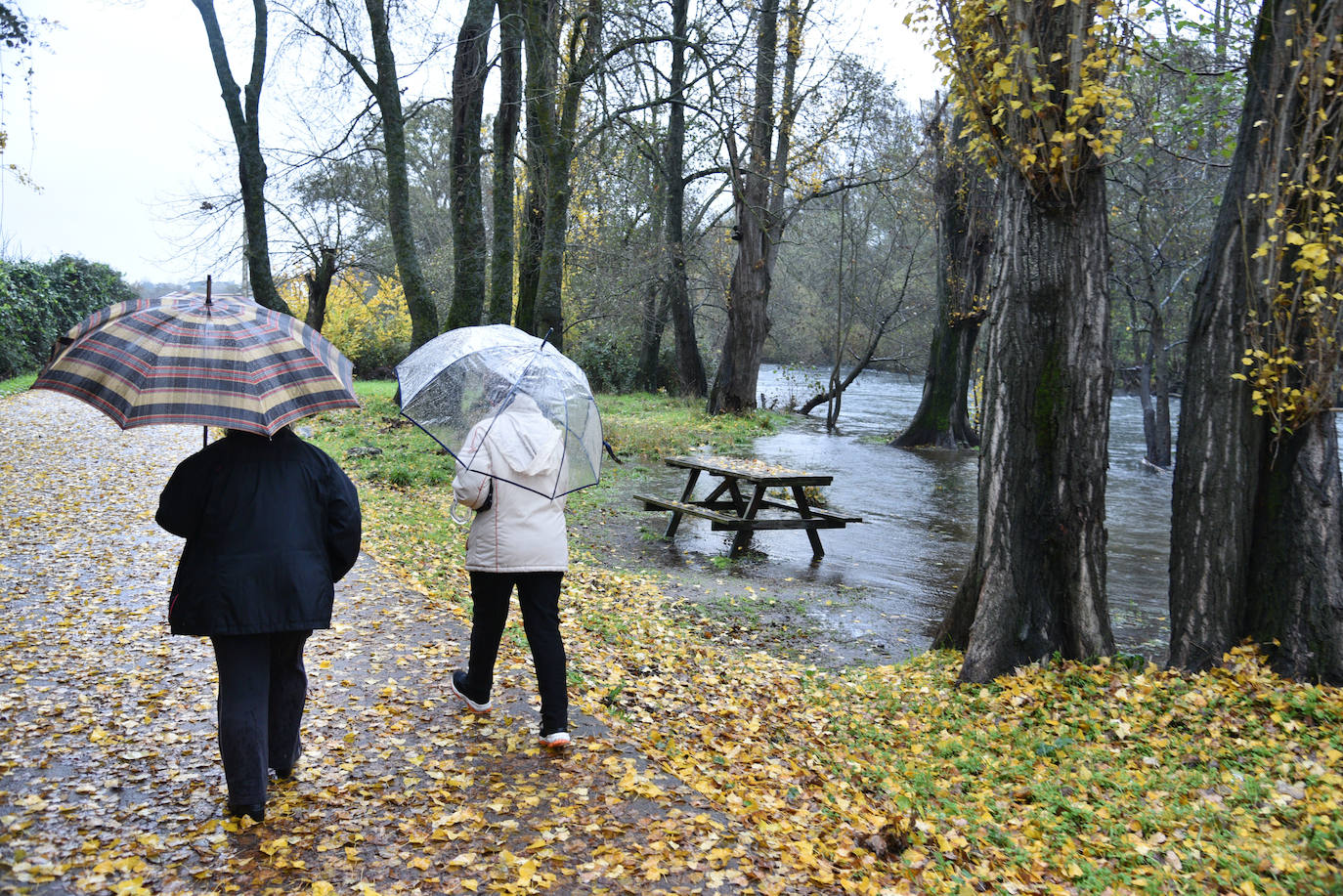 Paseo del río Jerte en Plasencia. 