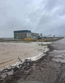 Imagen secundaria 2 - Efraín deja árboles caídos y caminos cortados en Calamonte
