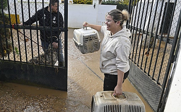 Pili rescatando a sus dos gatas. 