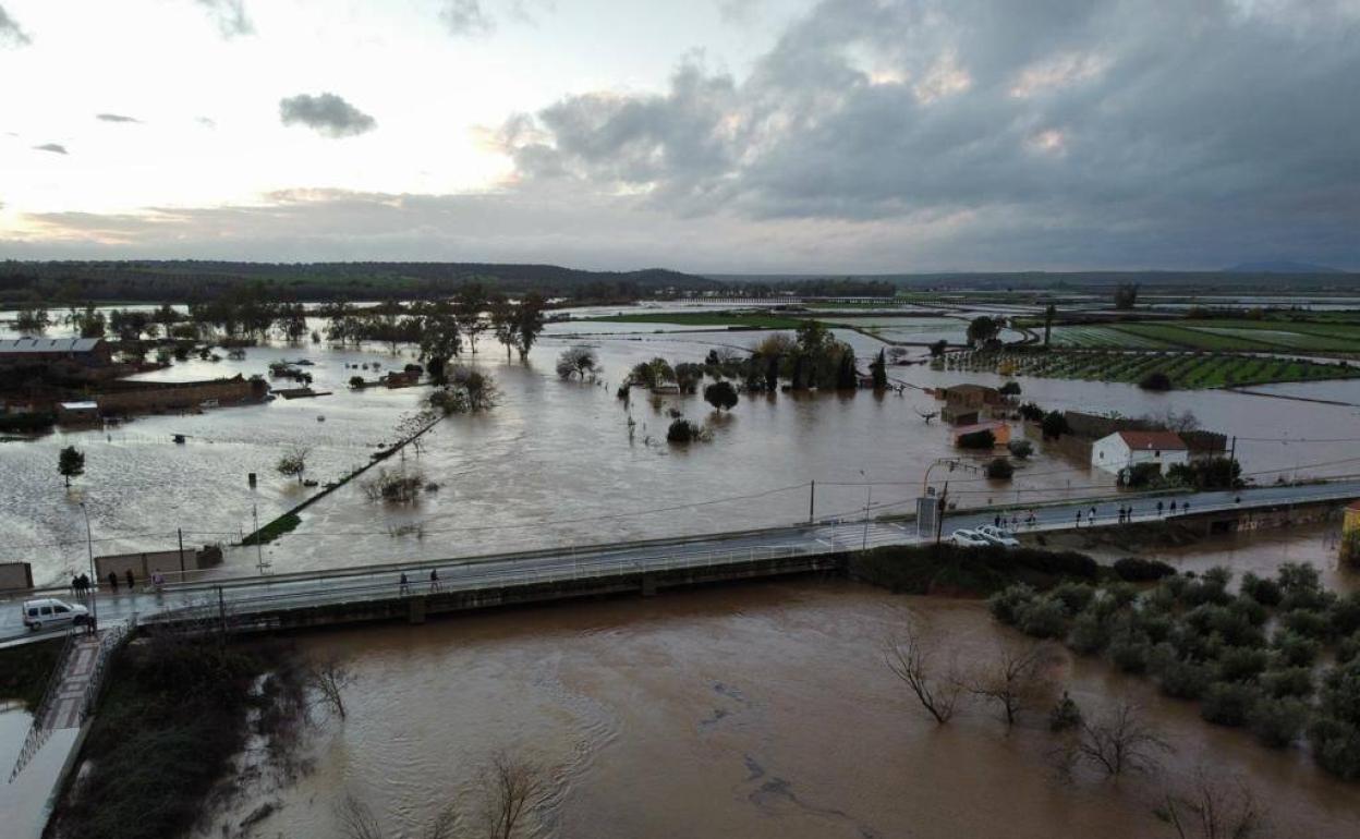 Terrenos anegaqdos en Madrigalejo por la crecida del río Ruecas. 