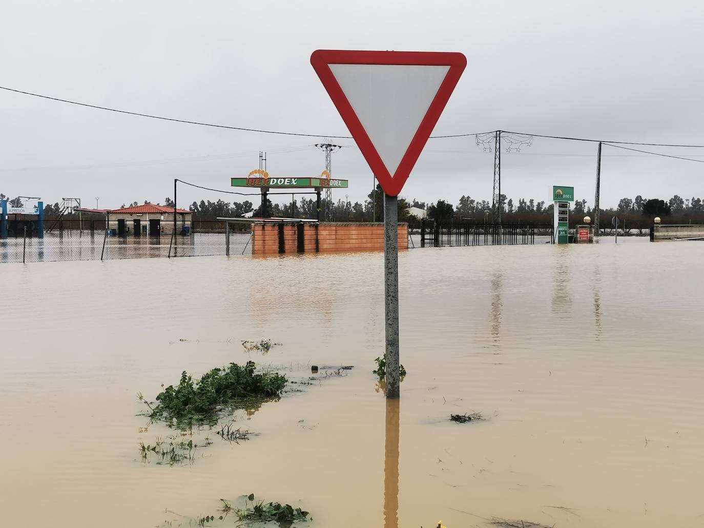 Inundación de la N-430 en Valdivia. 