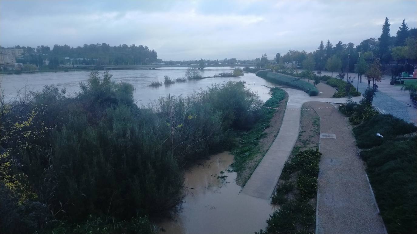 Nivel del Guadiana en Badajoz. Margen izquierda del río. 