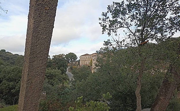 Ruinas de las Minas de Valdeflores desde el elevador. 