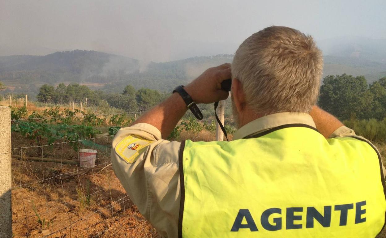 Imagen de archivo de un agente del Medio Natural observando la evolución de un incendio.